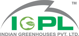 betel vine plant suppliers in india - IGPL logo