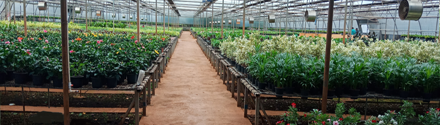 Polyhouse Manufacturers in india